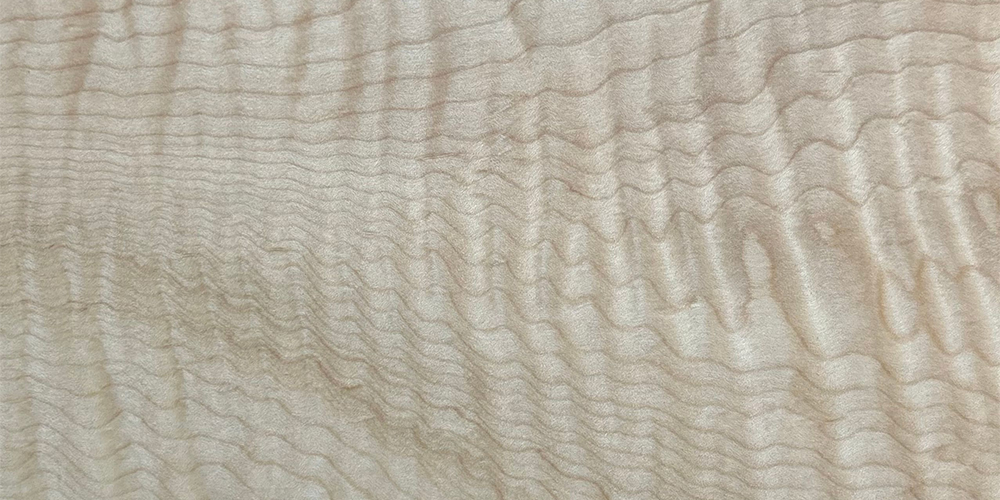 Curly Maple grain